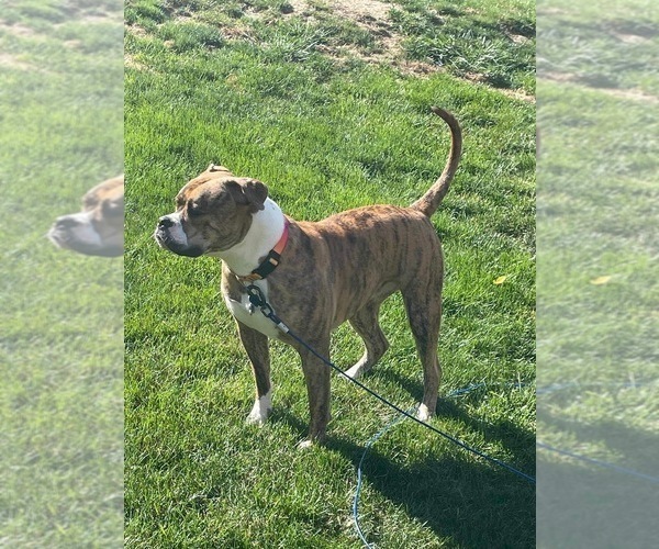 Medium Photo #31  Breeder Profile in COLUMBIA, KY, USA