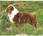 Small #1 Breeder Profile image