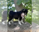 Small #10 Breeder Profile image