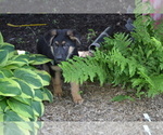 Small Photo #6  Breeder Profile in GREENWOOD, WI, USA