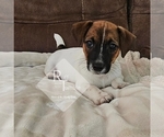 Small #11 Breeder Profile image