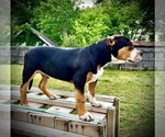 Small #4 Breeder Profile image