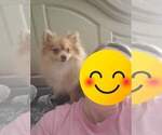 Small #3 Breeder Profile image
