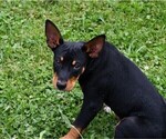 Small #7 Breeder Profile image