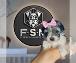 Small #29 Breeder Profile image