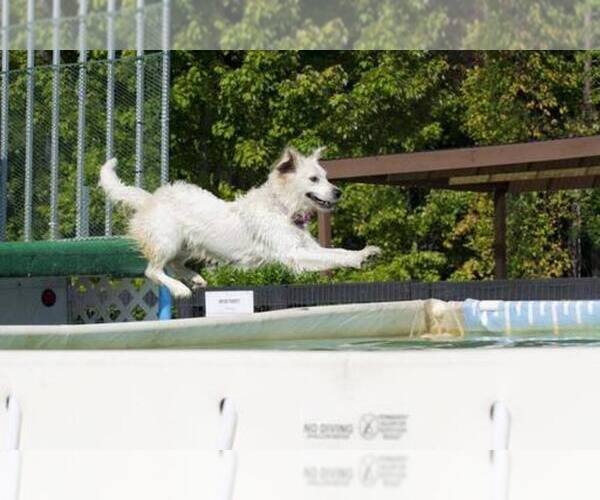 Medium Photo #30  Breeder Profile in JEFFERSON, GA, USA