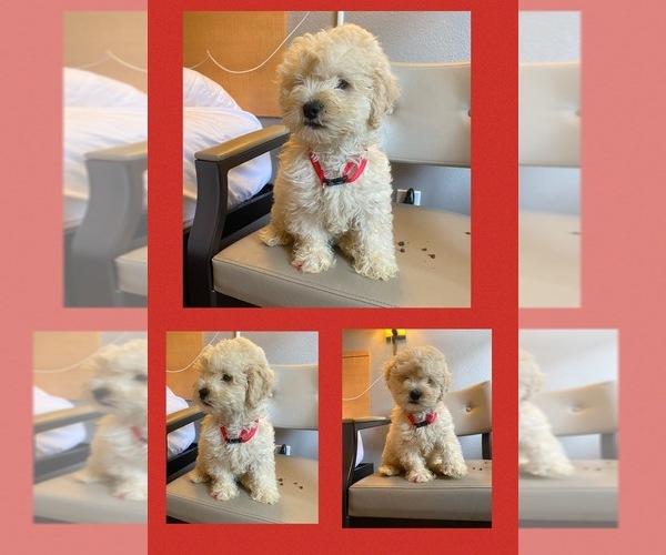 Medium Photo #1  Breeder Profile in BOULDER, CO, USA