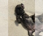 Small #3 Breeder Profile image