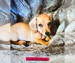 Small #2 Breeder Profile image