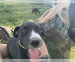 Small #7 Breeder Profile image