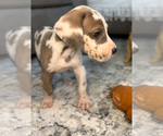 Small #5 Breeder Profile image