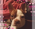 Small #6 Breeder Profile image