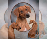 Small #6 Breeder Profile image