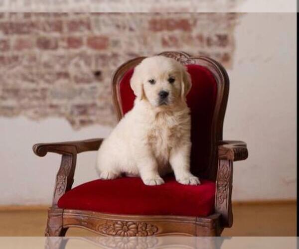 Medium Photo #1  Breeder Profile in JEFFERSON, GA, USA