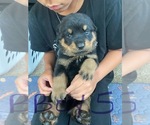 Small #23 Breeder Profile image