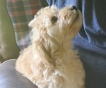 Small #5 Breeder Profile image