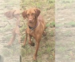 Small #5 Breeder Profile image