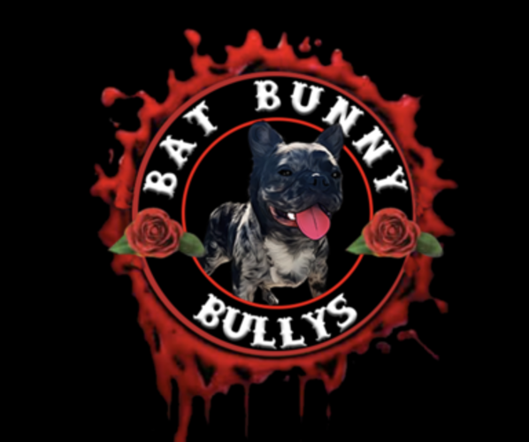 Medium Photo #1  Breeder Profile in LEANDER, TX, USA