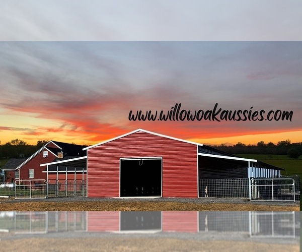 Medium Photo #2  Breeder Profile in HIGDON, AL, USA
