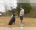 Small #19 Breeder Profile image