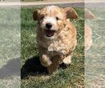 Small #6 Breeder Profile image