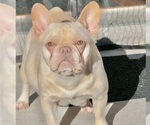 Small #2 Breeder Profile image