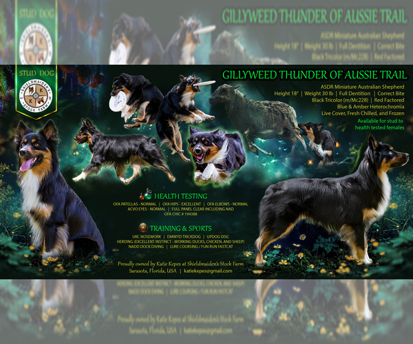 Medium Photo #2  Breeder Profile in SARASOTA, FL, USA
