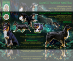Small #1 Breeder Profile image