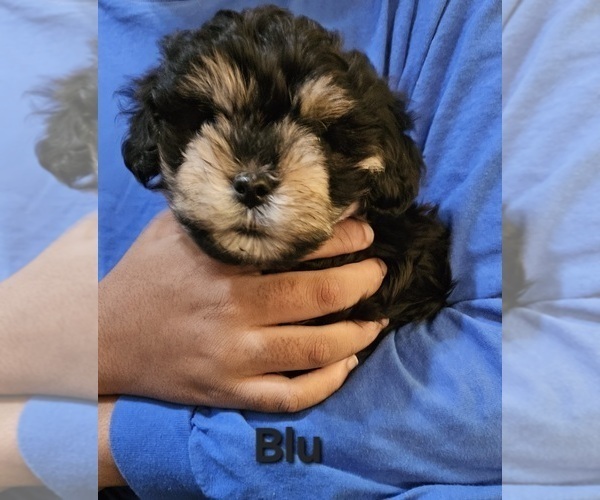 Medium Photo #1  Breeder Profile in Whitby, Ontario, Canada