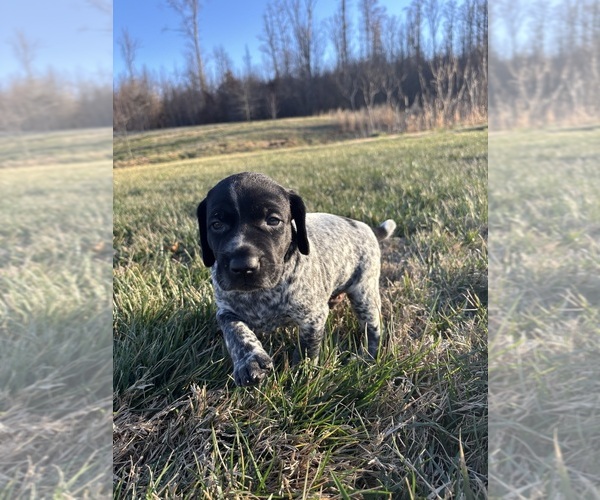 Medium Photo #7  Breeder Profile in ATHENS, TN, USA