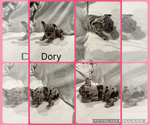 Small #1 Breeder Profile image