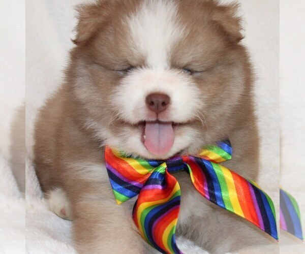 Medium Photo #18  Breeder Profile in BURNS TOWNSHIP, MN, USA