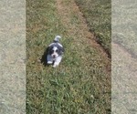 Small #4 Breeder Profile image
