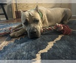 Small #11 Breeder Profile image