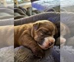 Small #7 Breeder Profile image