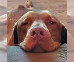 Small #12 Breeder Profile image