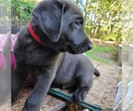Small #7 Breeder Profile image