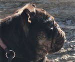 Small #11 Breeder Profile image