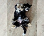 Small #15 Breeder Profile image