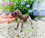 Small #4 Breeder Profile image