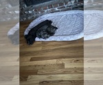 Small #2 Breeder Profile image