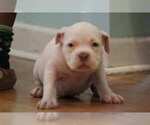 Small #18 Breeder Profile image