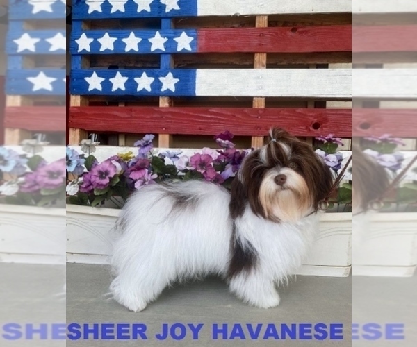 Medium Photo #3  Breeder Profile in POST FALLS, ID, USA