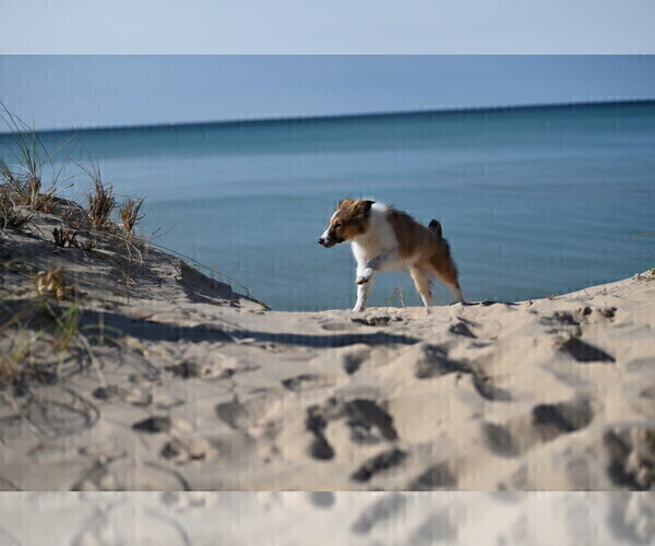 Medium Photo #7  Breeder Profile in PARIS, MI, USA