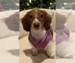 Small #34 Breeder Profile image
