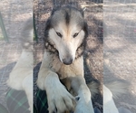 Small #12 Breeder Profile image
