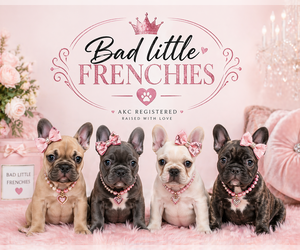 French Bulldog Dog Breeder near POLLOCK PINES, CA, USA