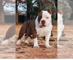 Small #6 Breeder Profile image