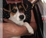 Small #6 Breeder Profile image