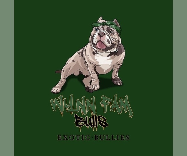 Medium Photo #1  Breeder Profile in VACAVILLE, CA, USA